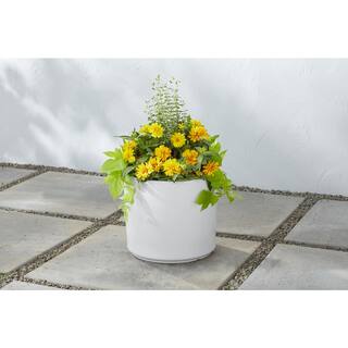 Vigoro 13 in. Eloise Medium Modern White Ceramic Cylinder Planter (13 in. D x 11.4 in. H) with Drainage Hole CR11502N-13W