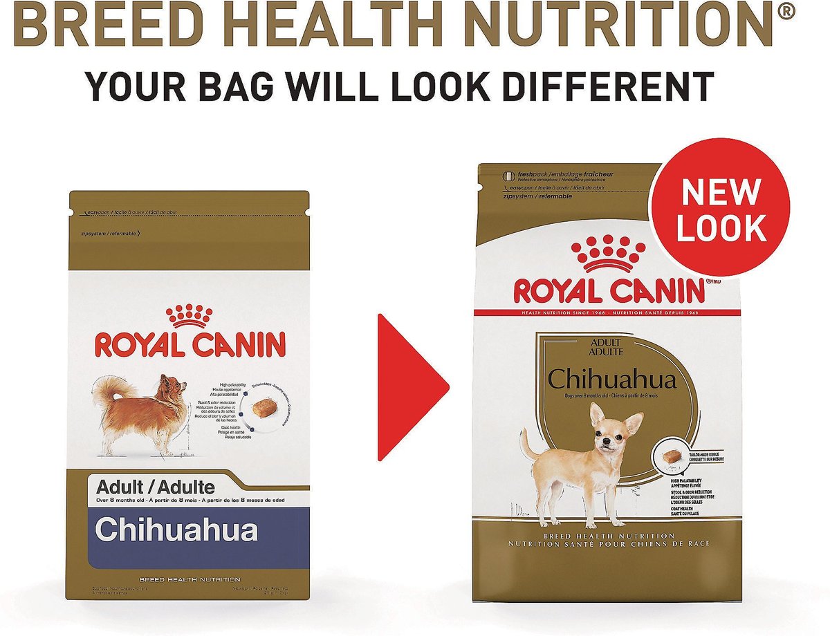 Royal Canin Breed Health Nutrition Chihuahua Adult Dry Dog Food