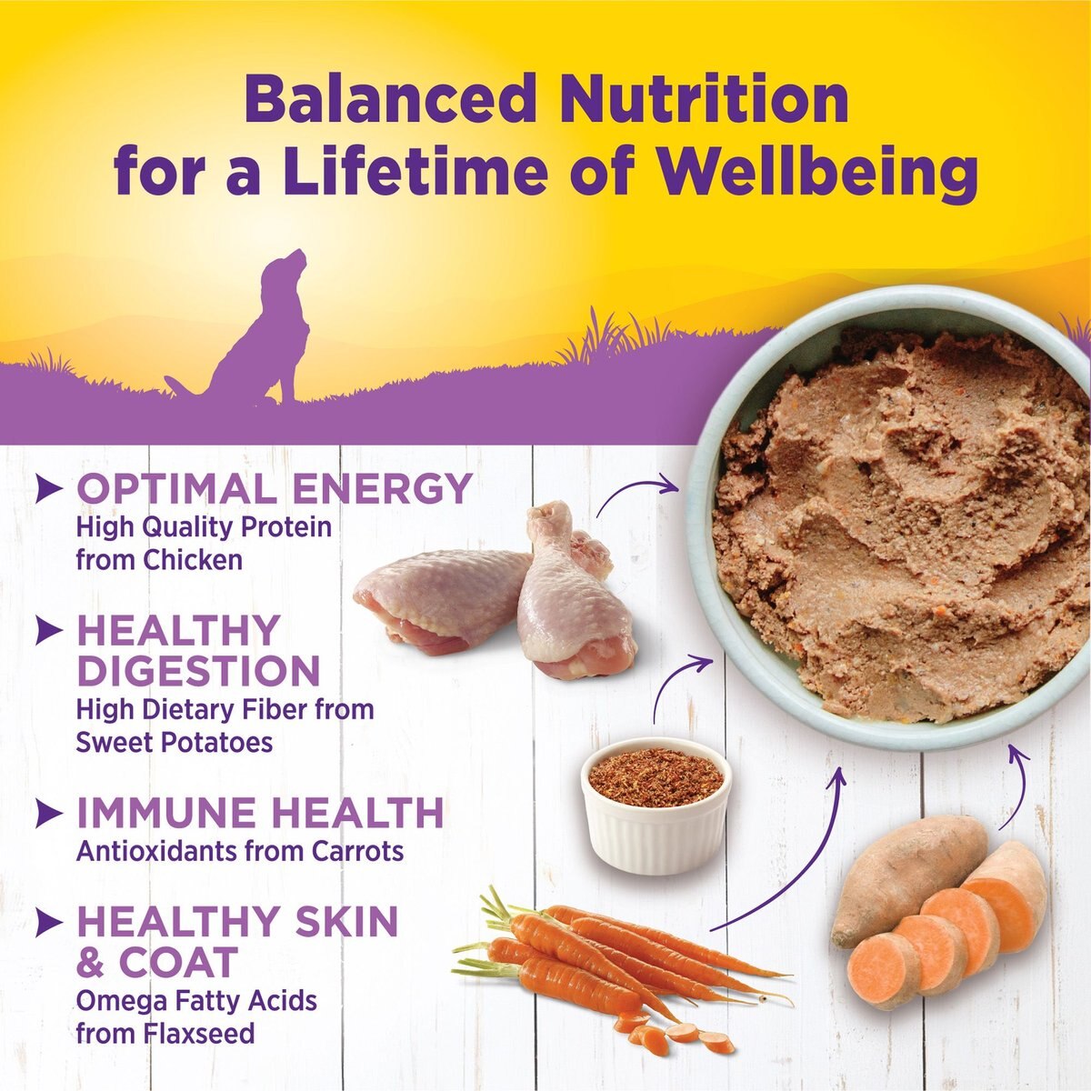 Wellness Complete Health Senior Formula Canned Dog Food