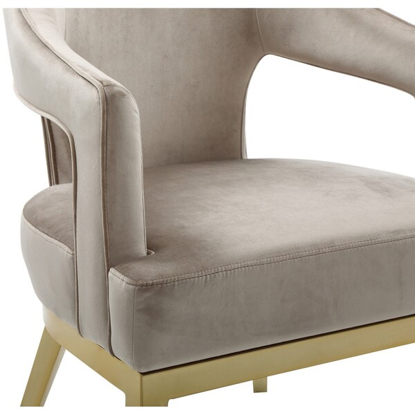 Chic Home Danu Velvet Upholstered Accent Chair