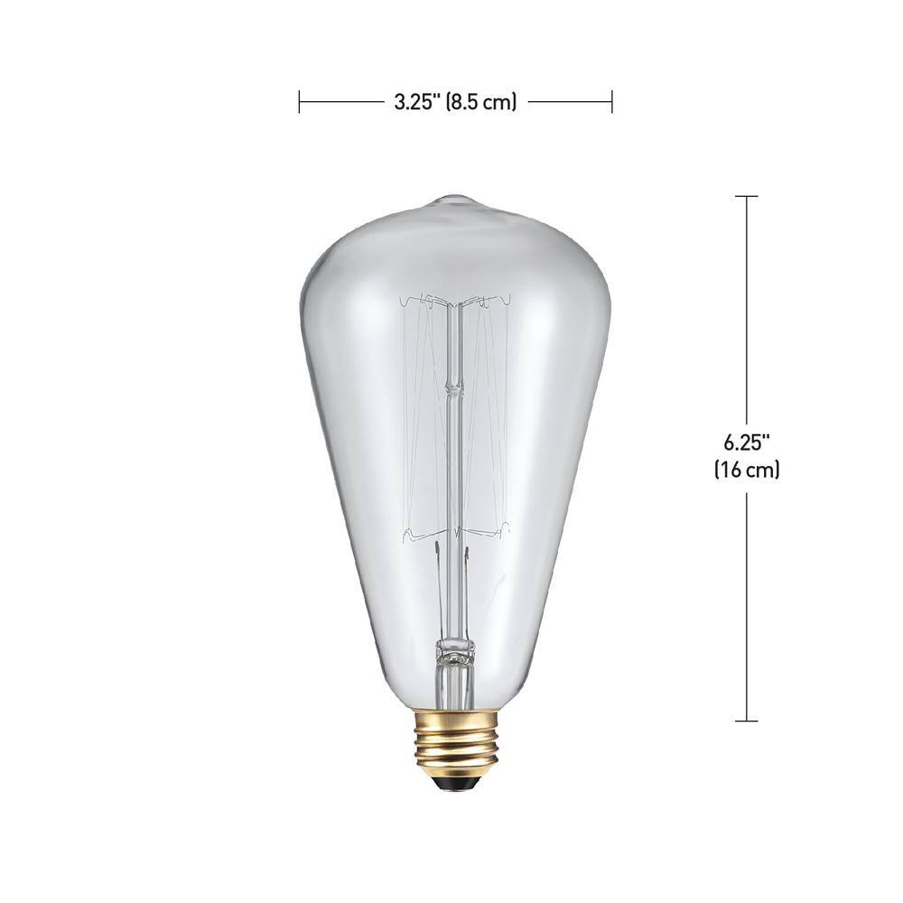 Globe Electric 60 Watt S-Shape Dimmable Cage Filament Vintage Edison Incandescent Light Bulb Warm Candle Light 83008