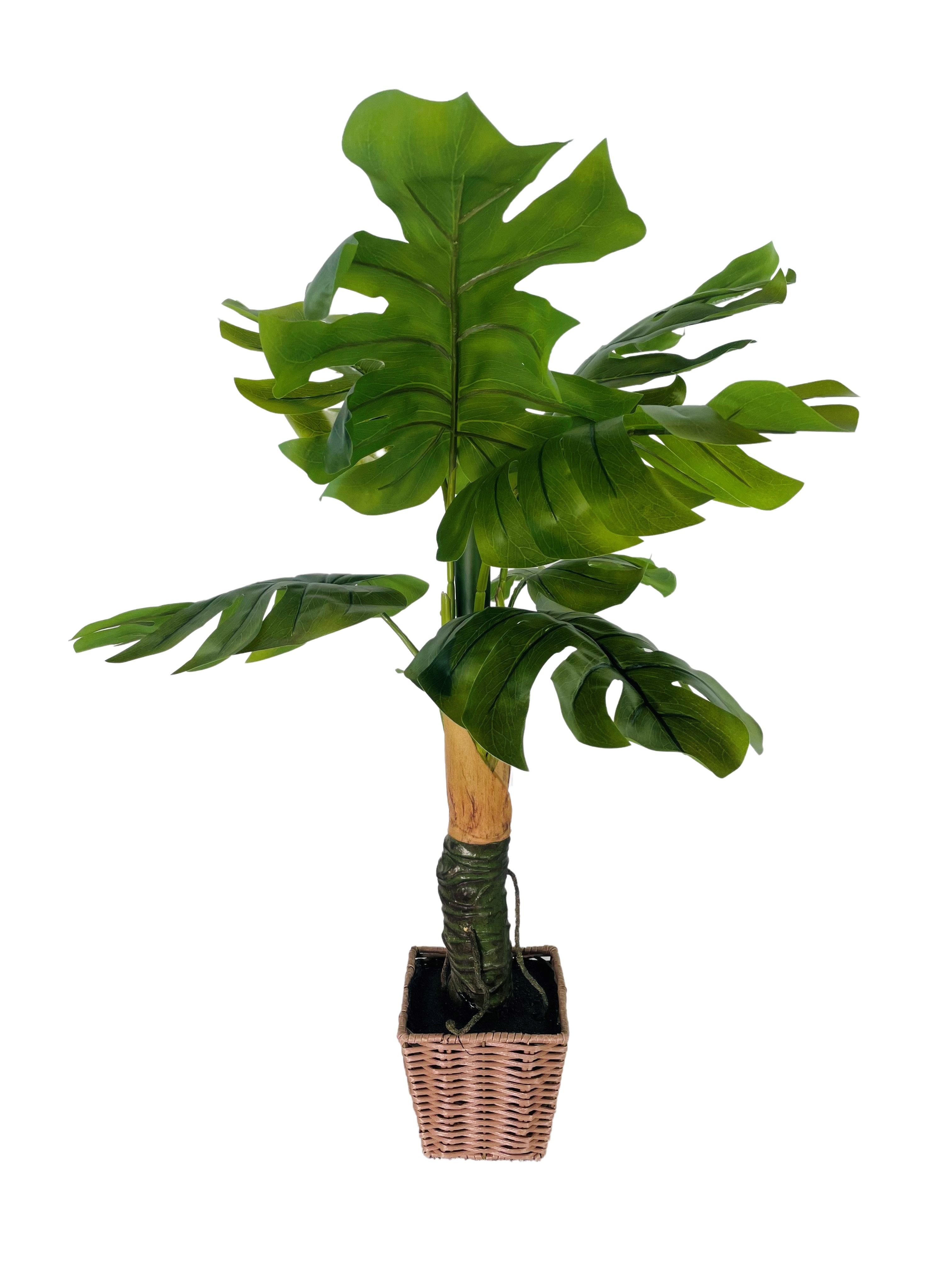 Platon Floral and Craft Potted Artificial Green Split Philodendron 3Ft in Basket