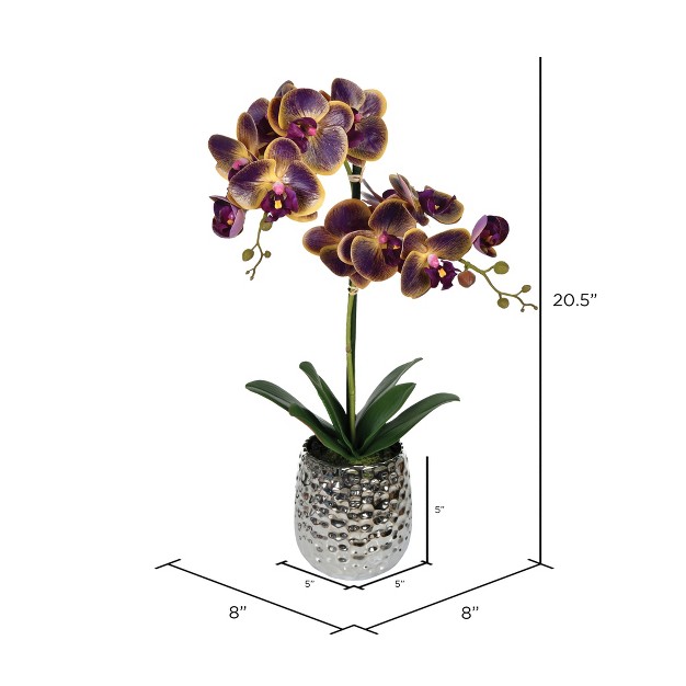 Vickerman Artificial Potted Real Touch Phalaenopsis Spray