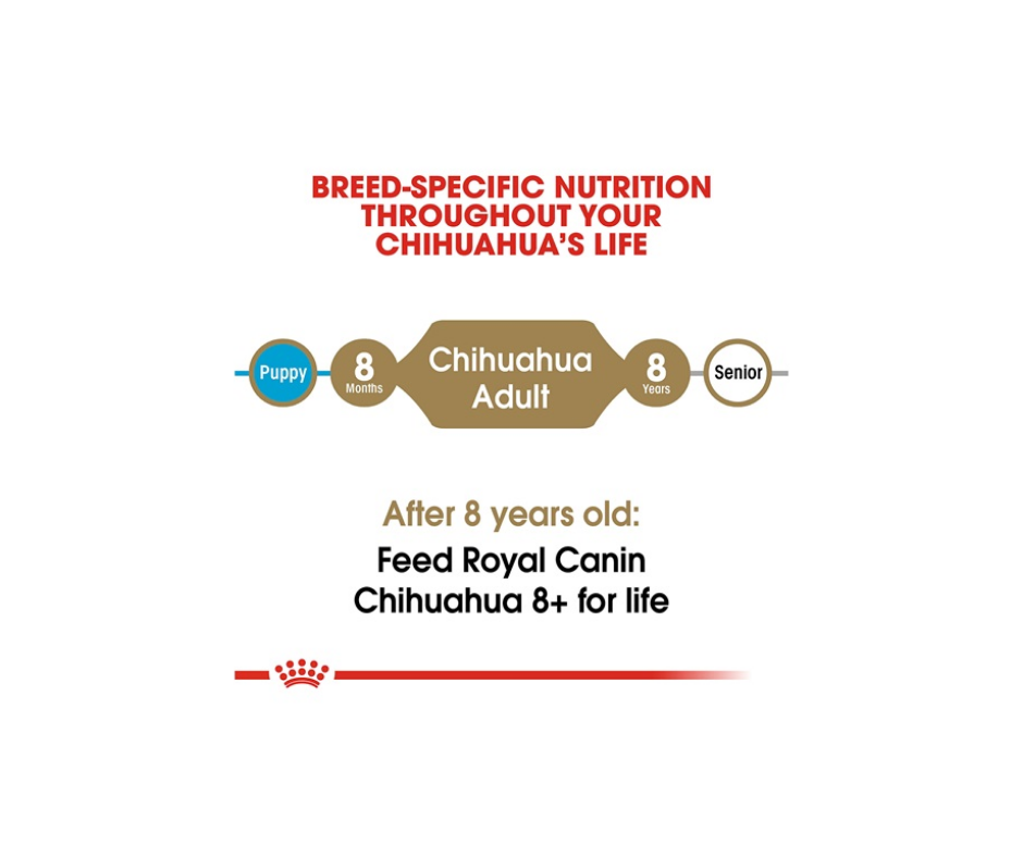 Royal Canin - Adult Chihuahua Dry Dog Food