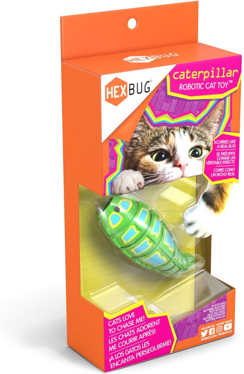 Hexbug Caterpillar Cat Toy