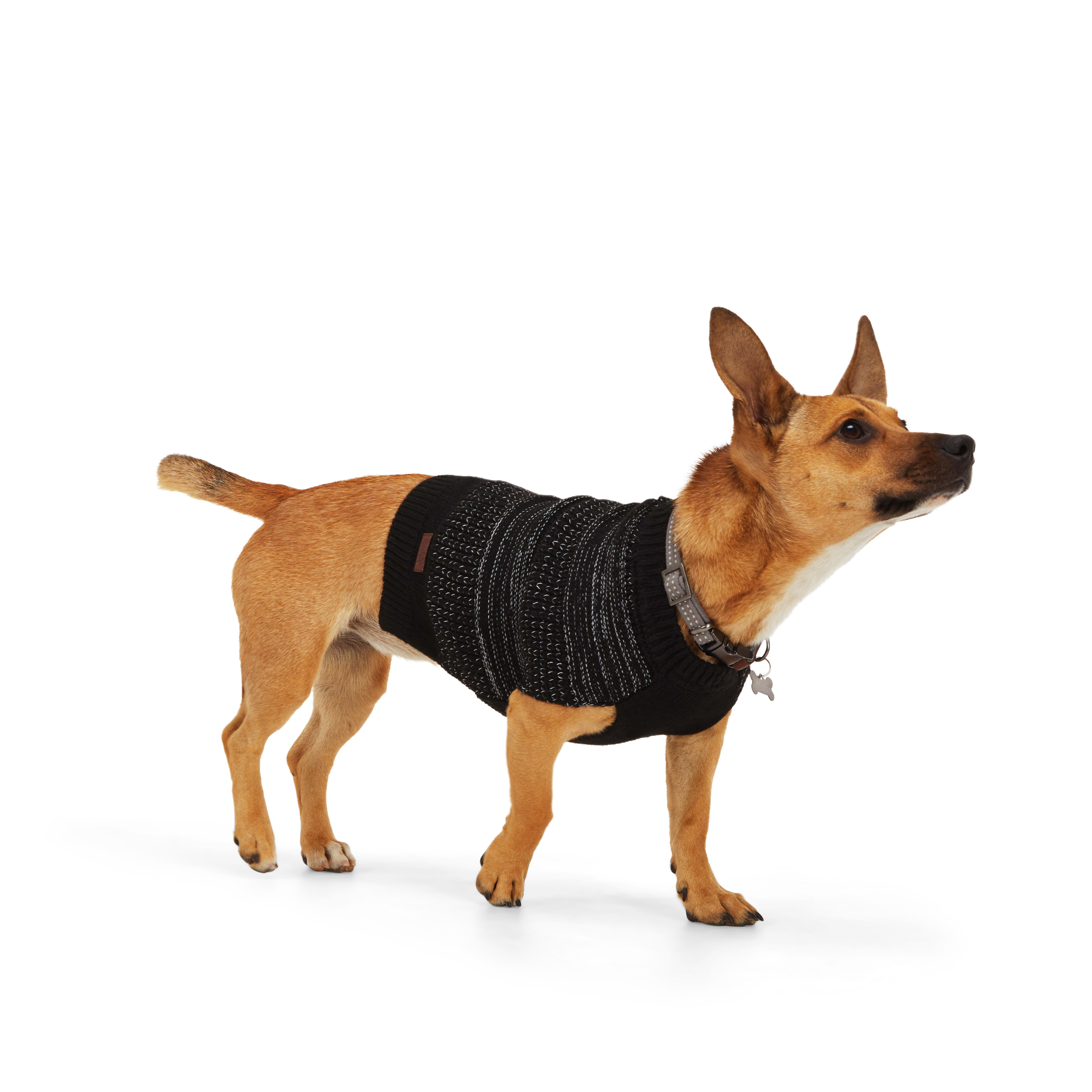 Reddy Black Reflective Dog Sweater， X-Small