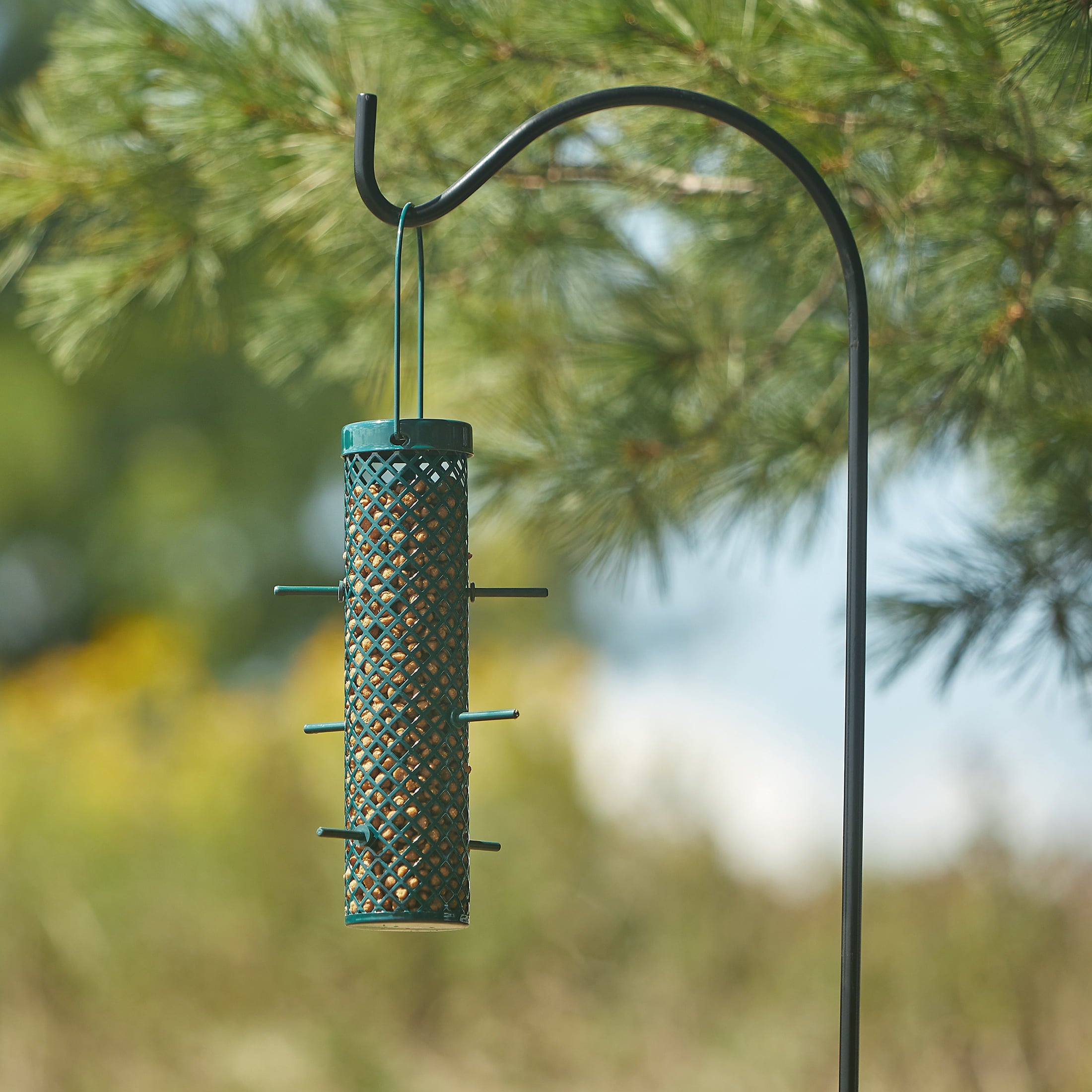 CandS Products Green Wire Suet Nugget or Ball Wild Bird Suet Feeder