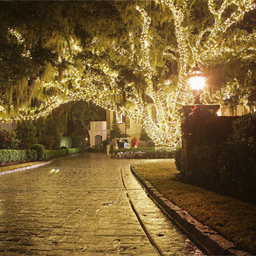 Modern Home Solar LED String Lights   100ct Warm White   Contemporary   Outdoor Rope And String Lights   by Vandue Corporation  Houzz