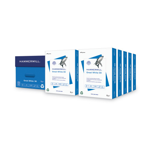 Hammermill Great White 30 Recycled Print Paper， 92 Bright， 20lb， 8.5 x 11， White， 500 Sheets/Ream， 10 Reams/Carton (86700)