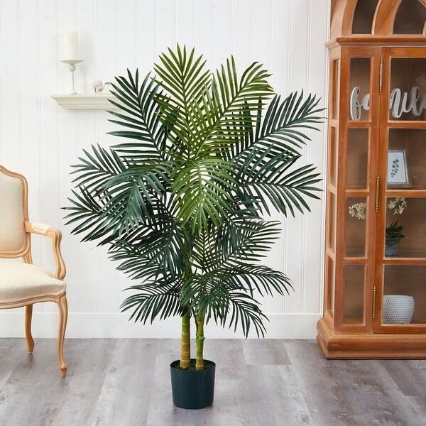 5' Golden Cane Palm Tree