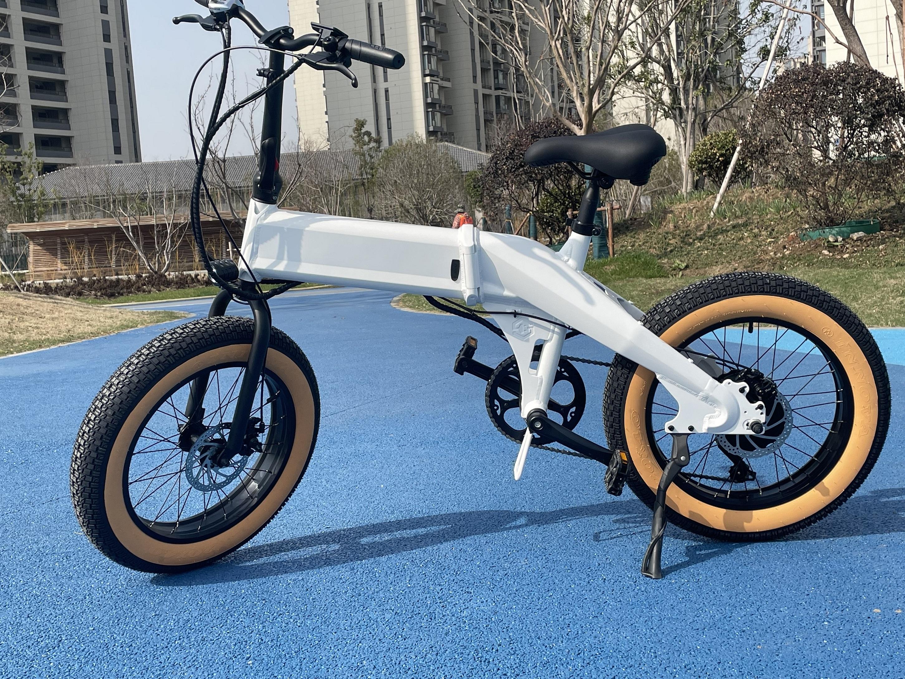 Ridstar Winner Folding Electric Bike Fat Tire Ebike Mountain Bike New Electric Bicycle Cycling US Spot 1000W 500w