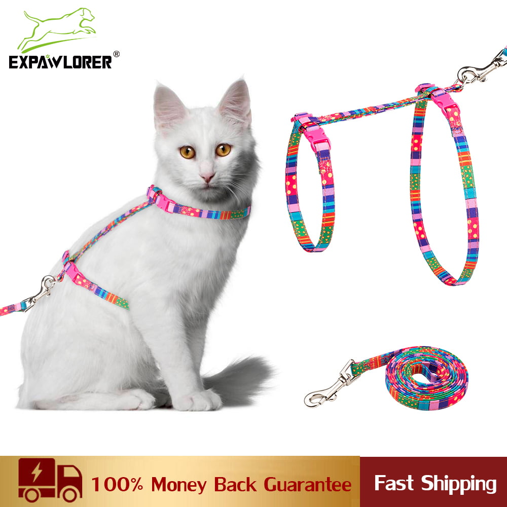 Buckle Cat Harness With Leash，Buckle Colorful Design for Cat Harness and Puppy Cat