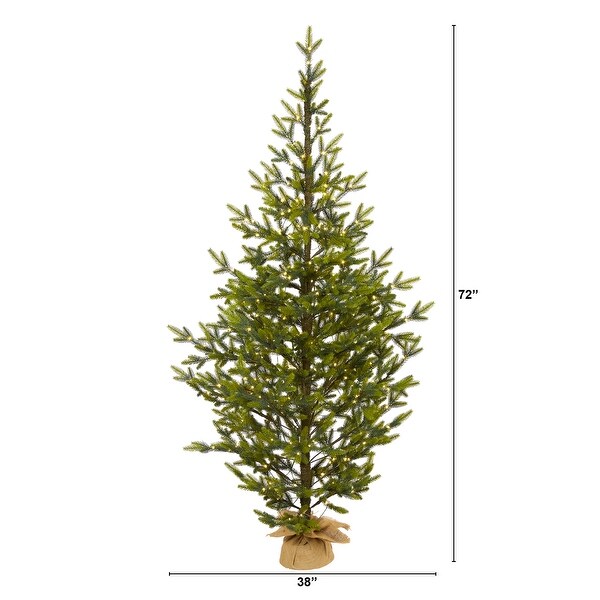 6' Fraser Fir Natural Look Christmas Tree with 250 Clear LED Lights