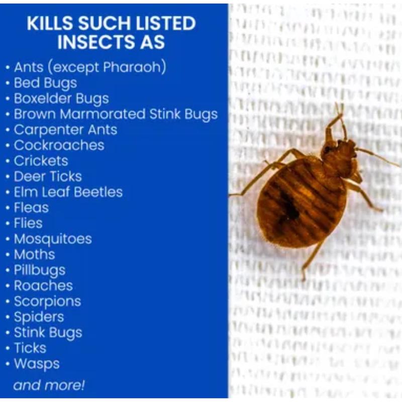 BED BUGFLEA KILLER 15OZ