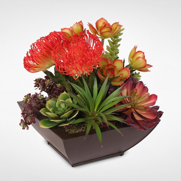 Contemporary Orange Tropical Succulent Arrangement