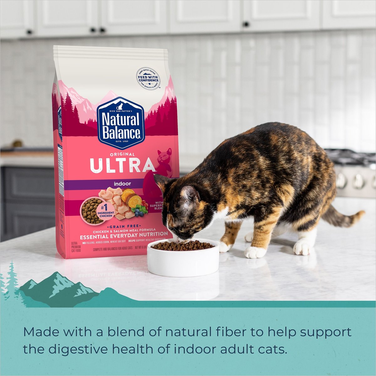 Natural Balance Original Ultra Indoor Chicken and Salmon Meal Dry Cat Food