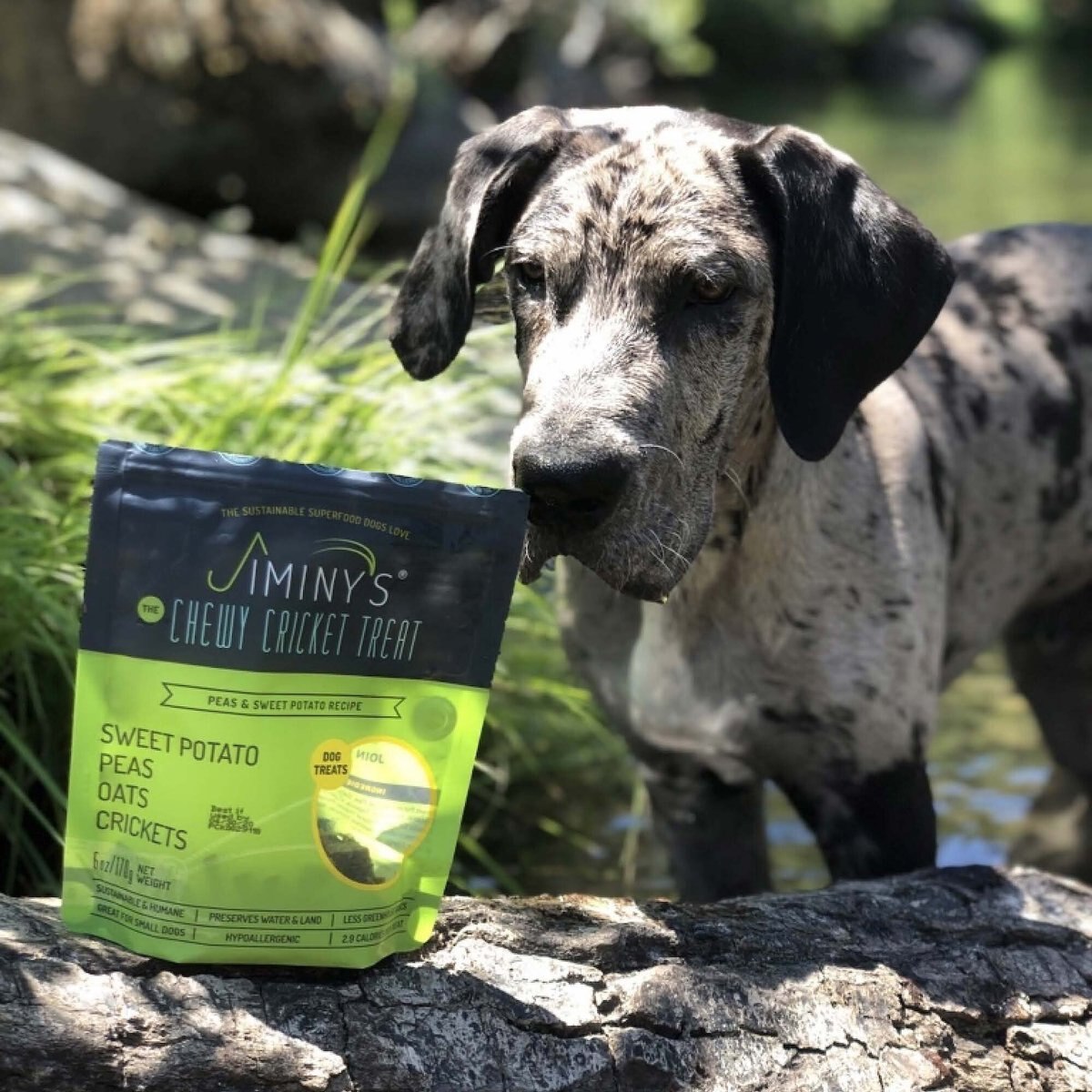 Jiminy's Cricket Peas and Sweet Potato Recipe Chicken-Free Dog Treats