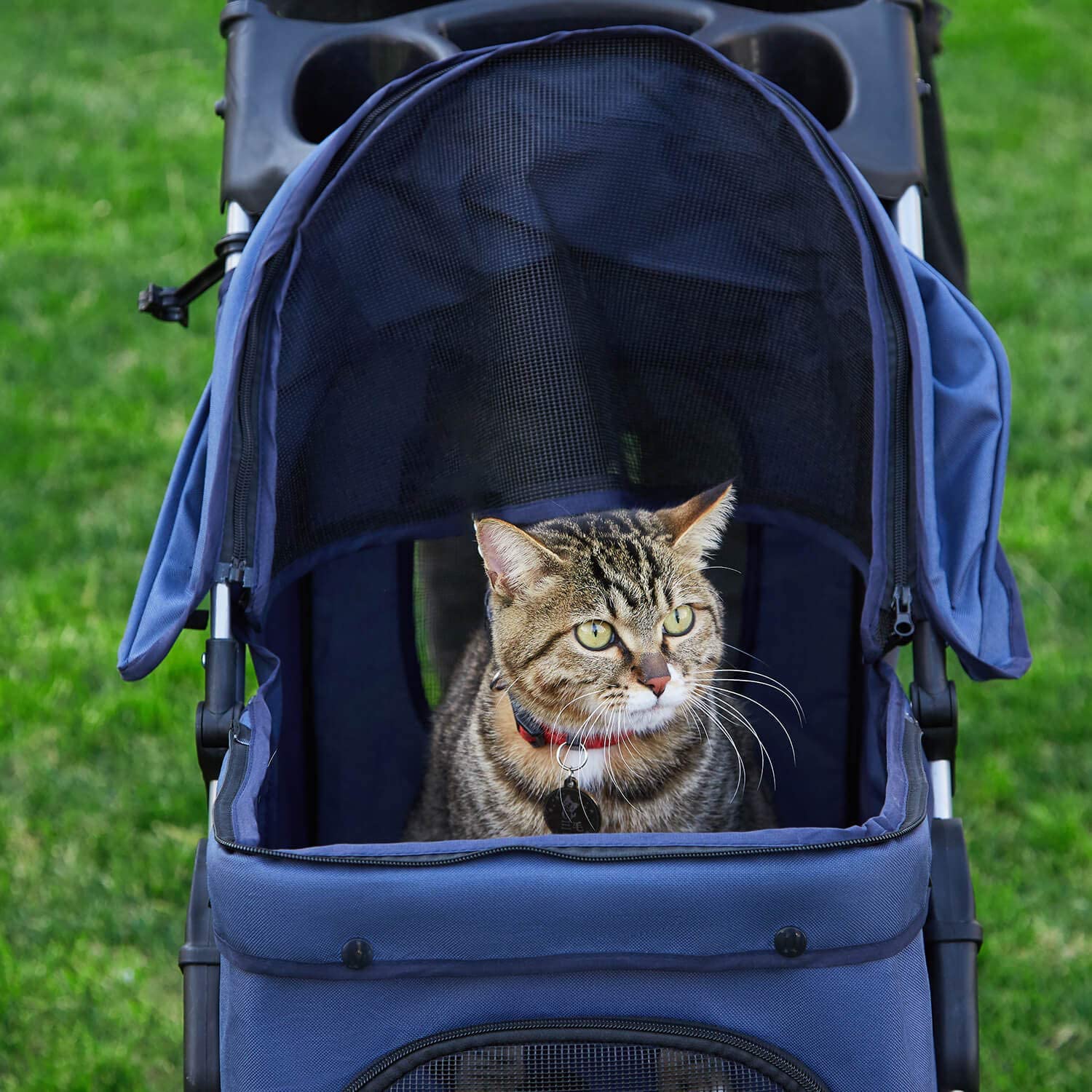 Msmask Foldable Pet Stroller 4 Wheel Cat Dog Travel Carrier with Storage Basket，Dark Blue