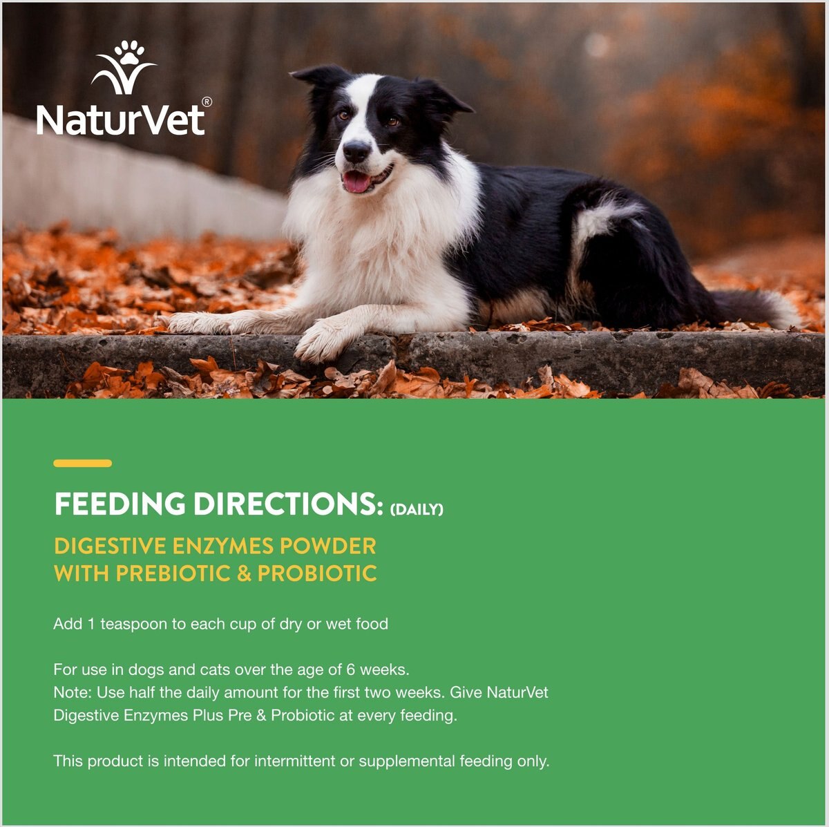 NaturVet Digestive Enzymes Plus Pre and Probiotic Powder Digestive Supplement for Cats and Dogs