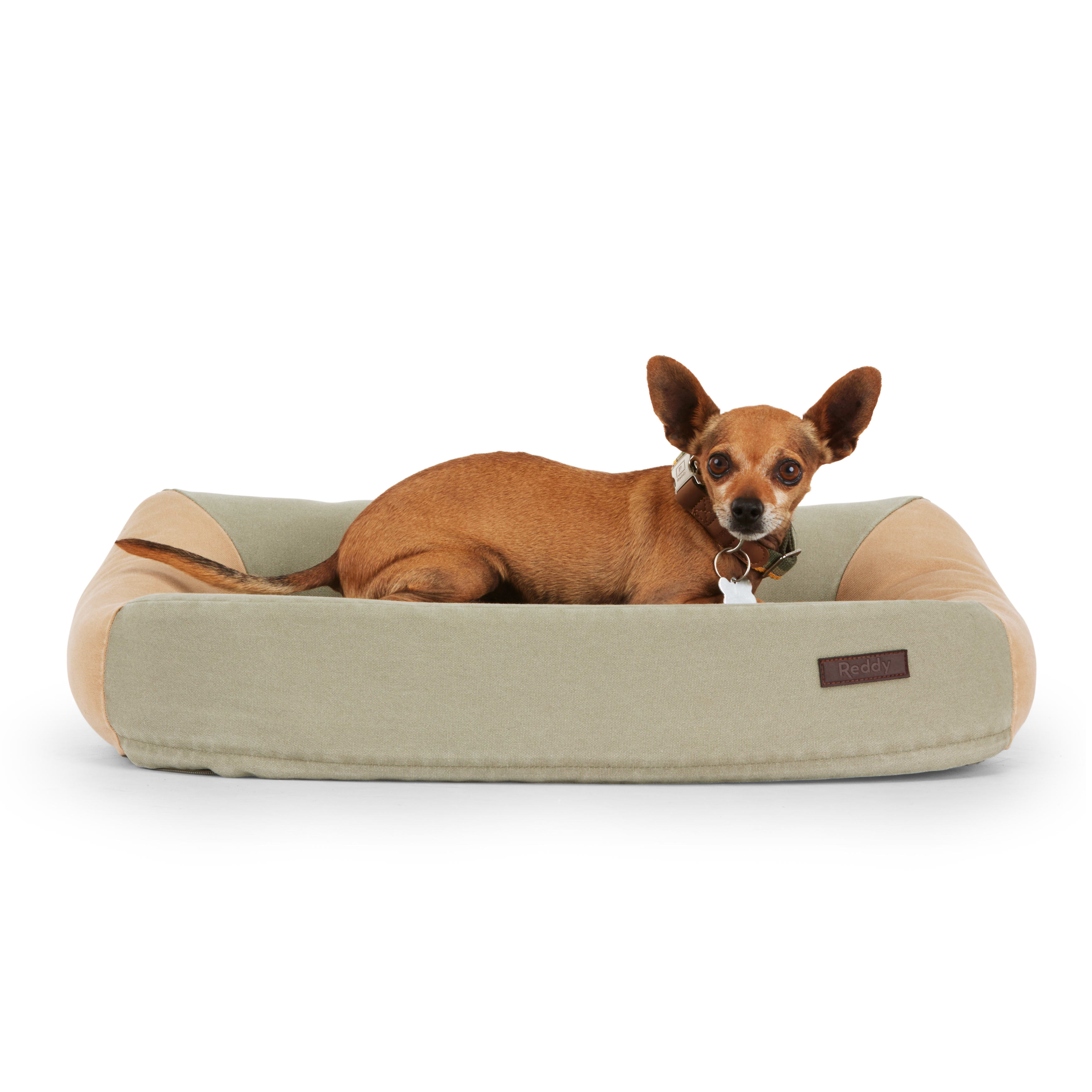 Reddy Olive and Tan Colorblock Dog Bed， 26