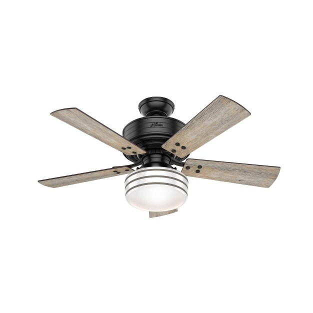 Cedar Key Damp Rated Ceiling Fan With Remote Black includes Led Light Bulb Hunter Fan