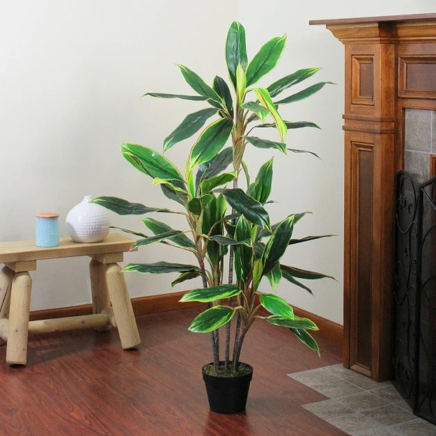 Green And Red Artificial Potted Two Tone Dracaena Plant - 4.5'