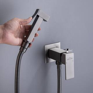 Boyel Living Wall Mount Single-Handle Handheld Bidet Sprayer with Handle and Mixer Body in Gunmetal Gray SMD-16028GG