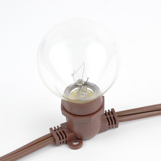 Novelty Lights Globe Outdoor String Lights With 80 In line Sockets Brown Wire 100 Feet