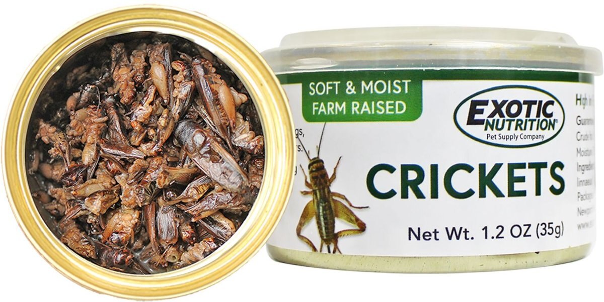 Exotic Nutrition Crickets Hedgehog Treats， 1.2-oz can