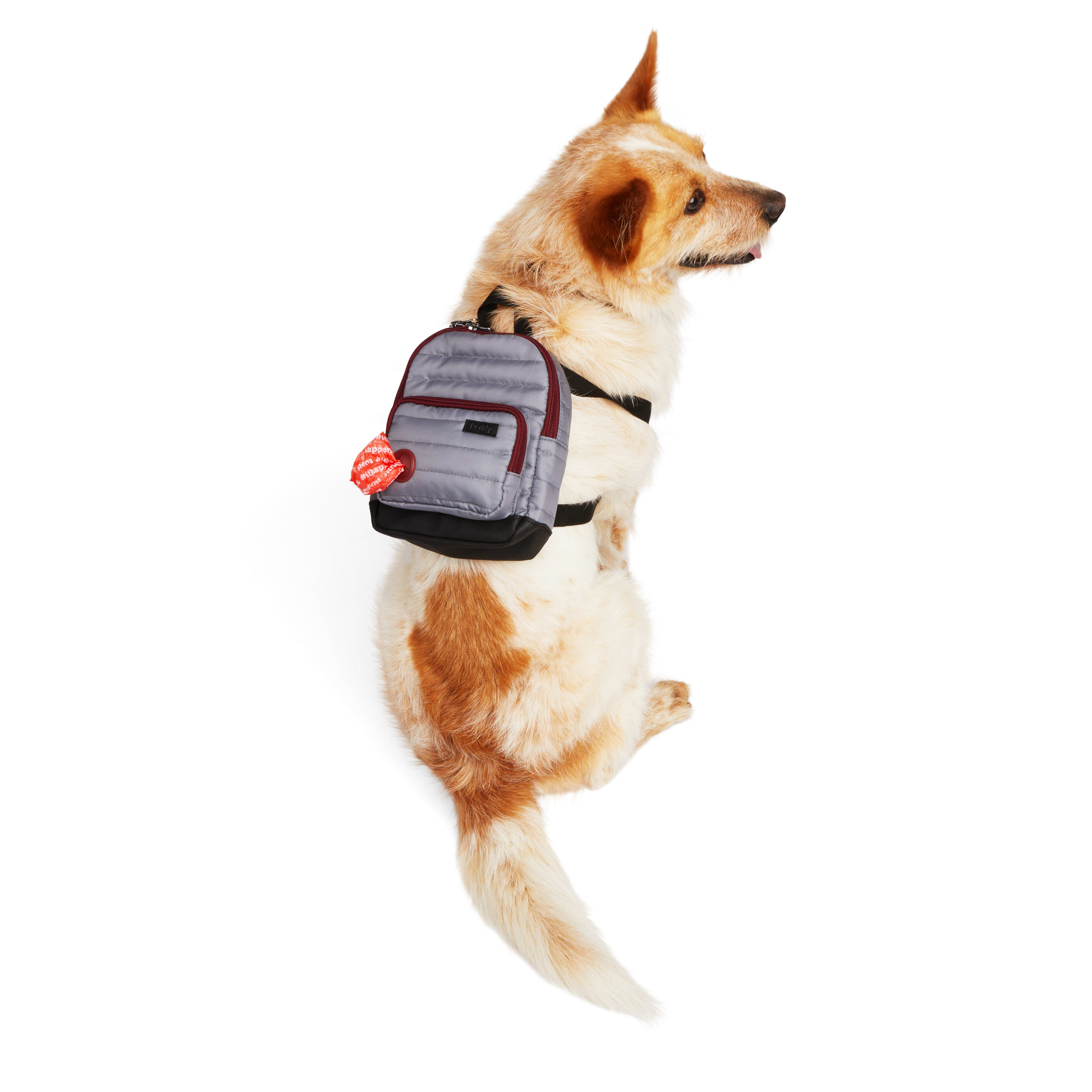 Reddy Quilted Dog Backpack， X-Small/Small