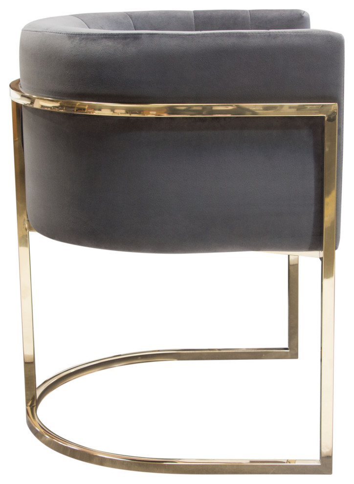 Pandora Dining Chair  Gray Velvet With Polished Gold Frame by Diamond Sofa   Contemporary   Dining Chairs   by Morning Design Group  Inc  Houzz