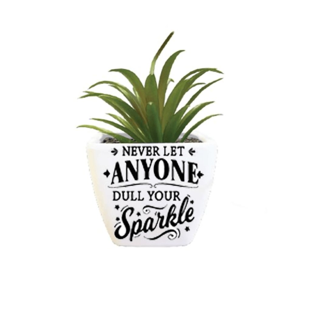 H & H Gifts  Succulent - Never Let Anyone Dull Your Sparkle