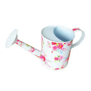 Elegant Designed Garden Watering Can With open wholes And Golden Handle Functional Rustproof Watering Can