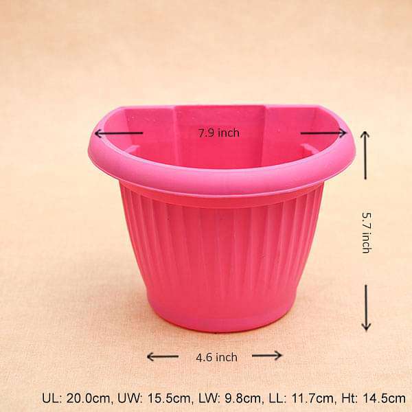 7.9 inch (20 cm) Bello Wall Mounted D Shape plastic Planter (Dark Pink) (set of 6)