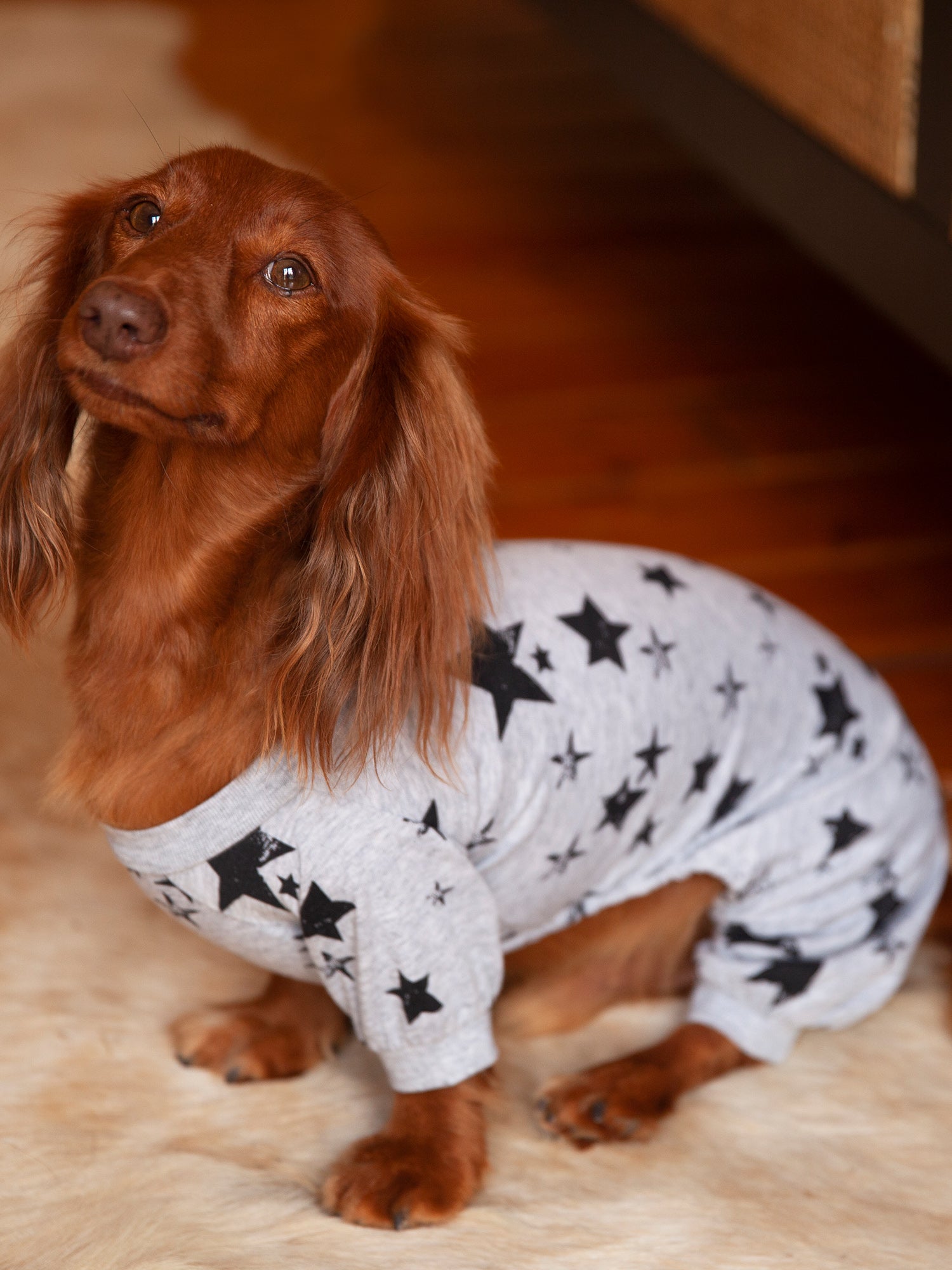 Coco + Rebel Black Star Dog Pajama