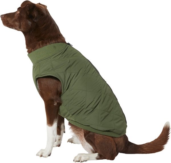 Frisco Lightweight Insulated Bomber Dog and Cat Jacket