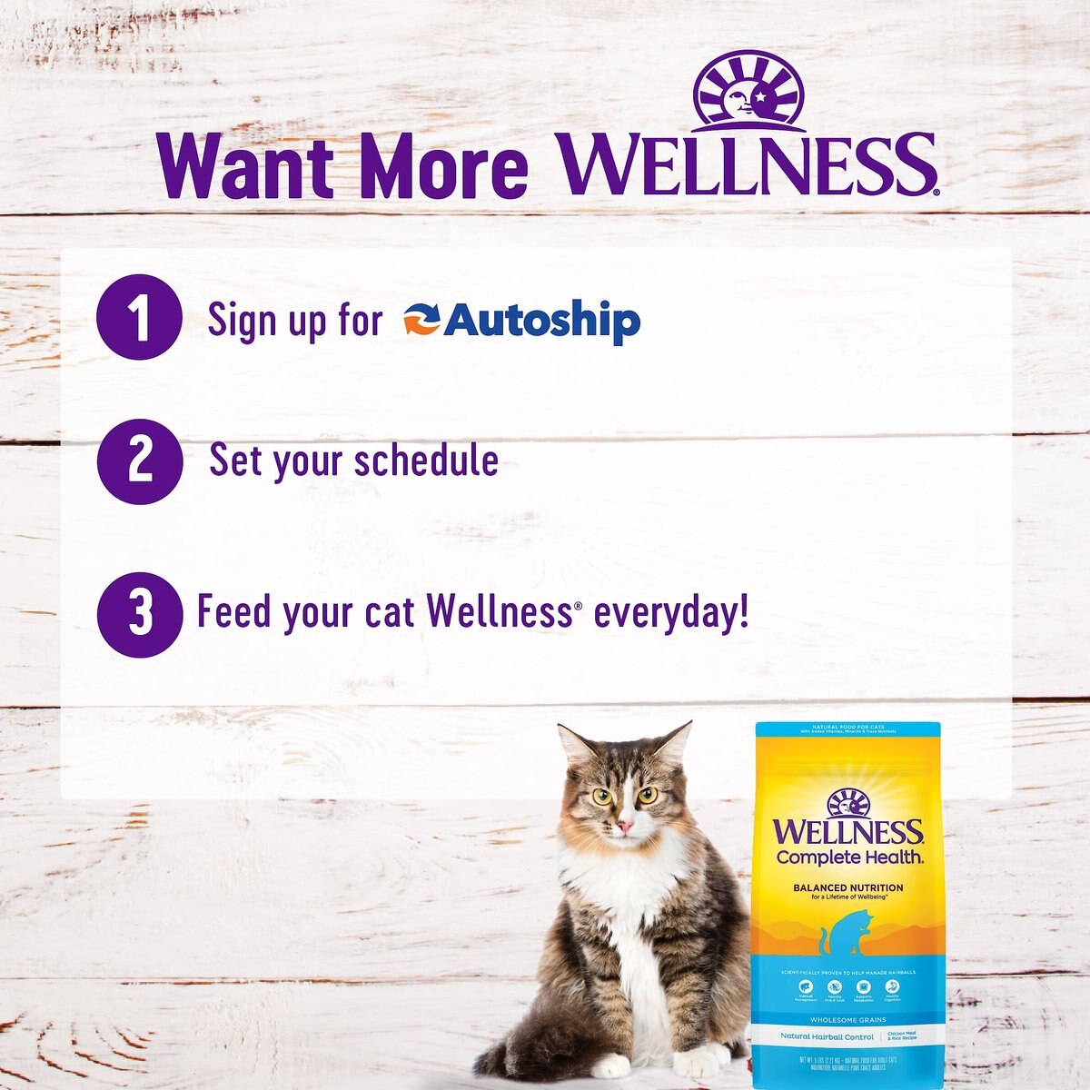 Wellness Natural Hairball Control Chicken Meal and Rice Recipe Dry Cat Food