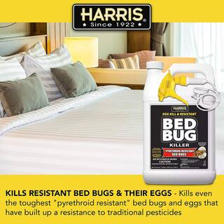 Harris 1 Gal. Ready-to-Use Egg Kill and Resistant Bed Bug Killer BLKBB-128