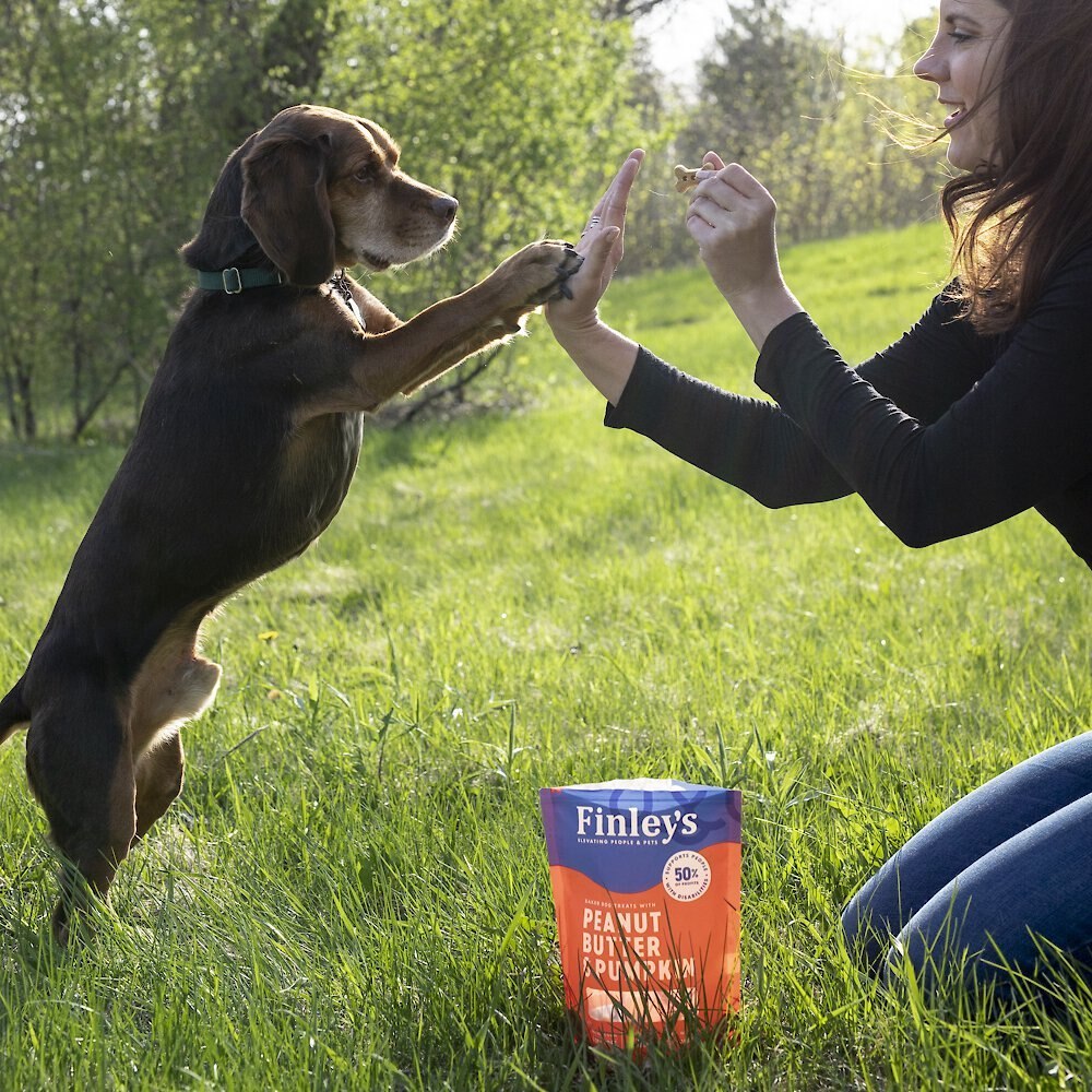 Finley's Barkery Wheat-Free Peanut Butter and Pumpkin Crunchy Biscuit Dog Treats