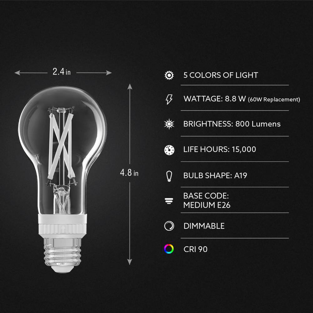 EcoSmart 60-Watt Equivalent A19 Dimmable White Filament CEC Clear Glass LED Light Bulb Adjustable White (1-Bulb) A19605CCTCAWFILECP