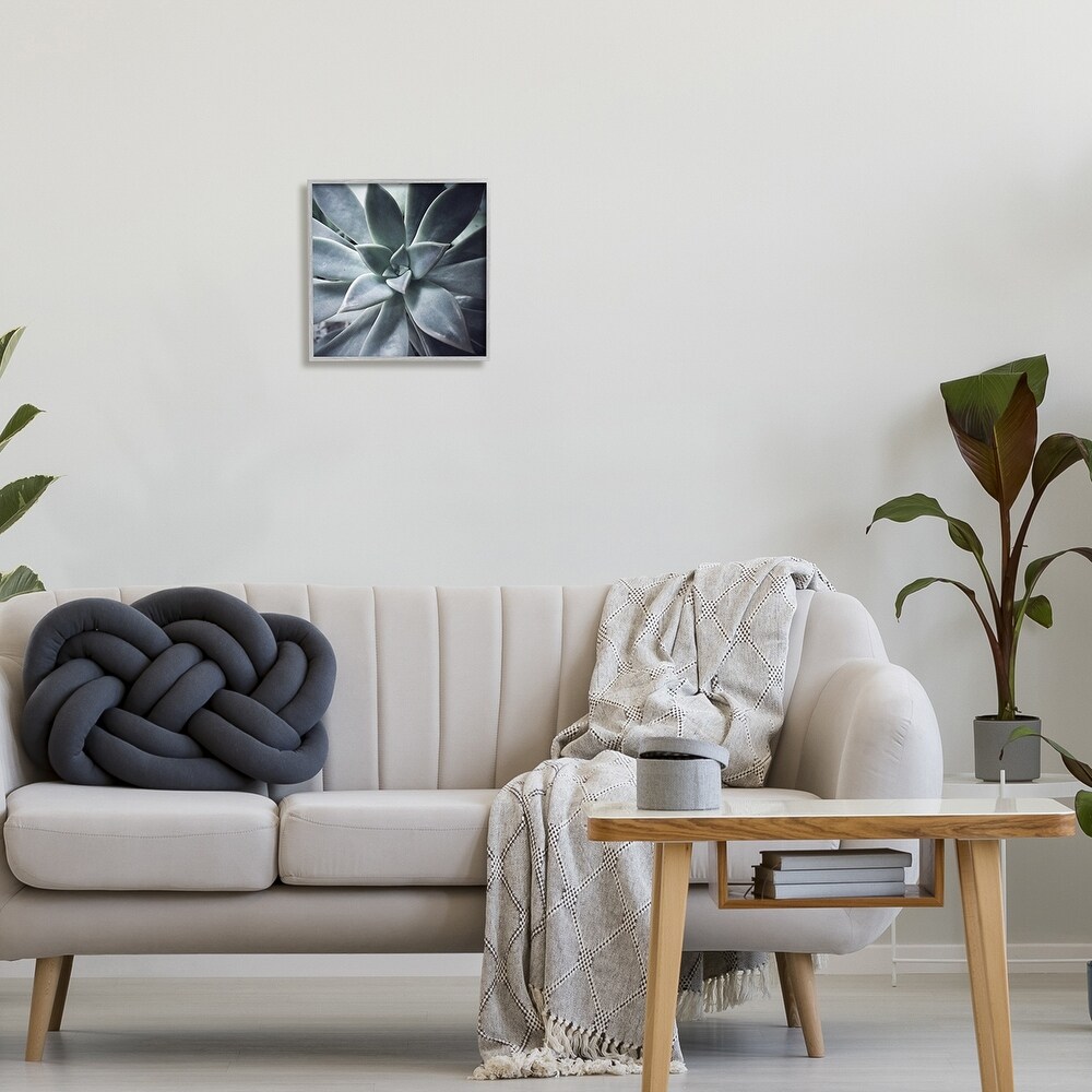 Stupell Succulent Plant Photography Framed Giclee Art by Jessica Manelis