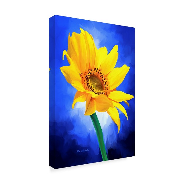 Trademark Fine Art ata Alishahi x27 sun Flower x27 Canvas Art