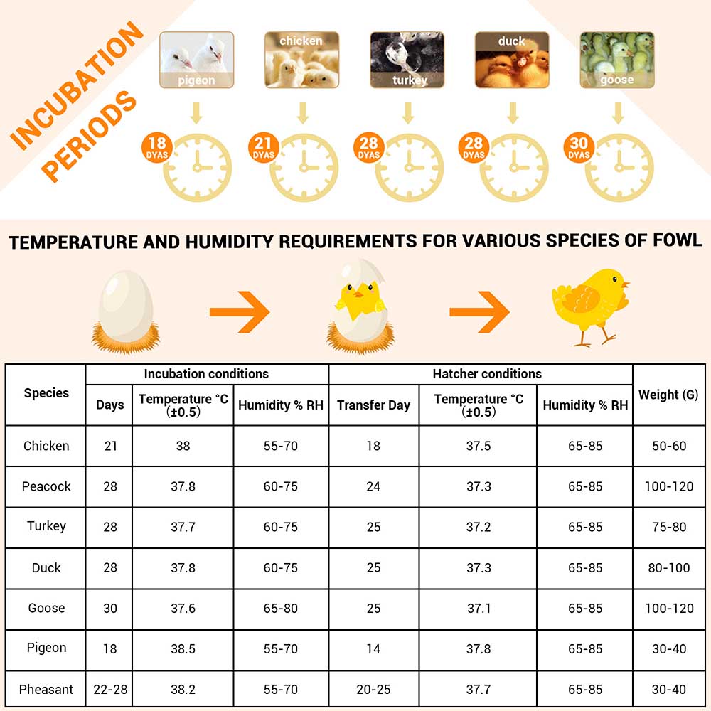 Yescom 56 Egg Incubator Temper Control Auto Turning