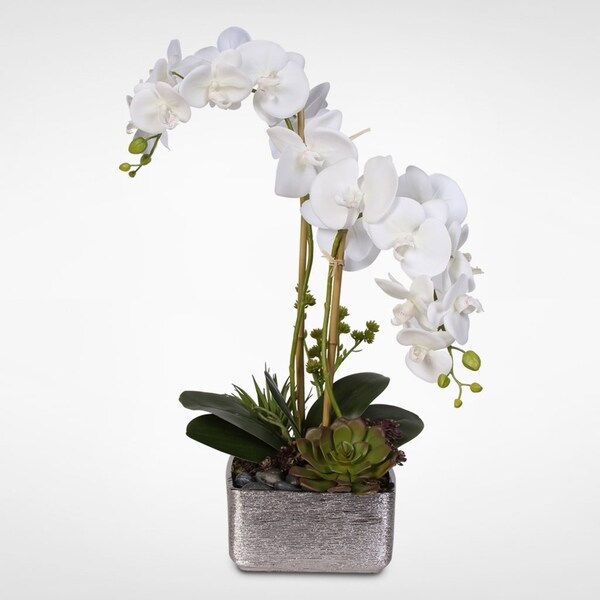 Real Touch White Phalaenopsis Orchid with Succulents in a Silver Ceramic Pot