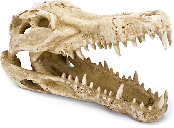 Penn-Plax Gator Skull Aquarium Ornament