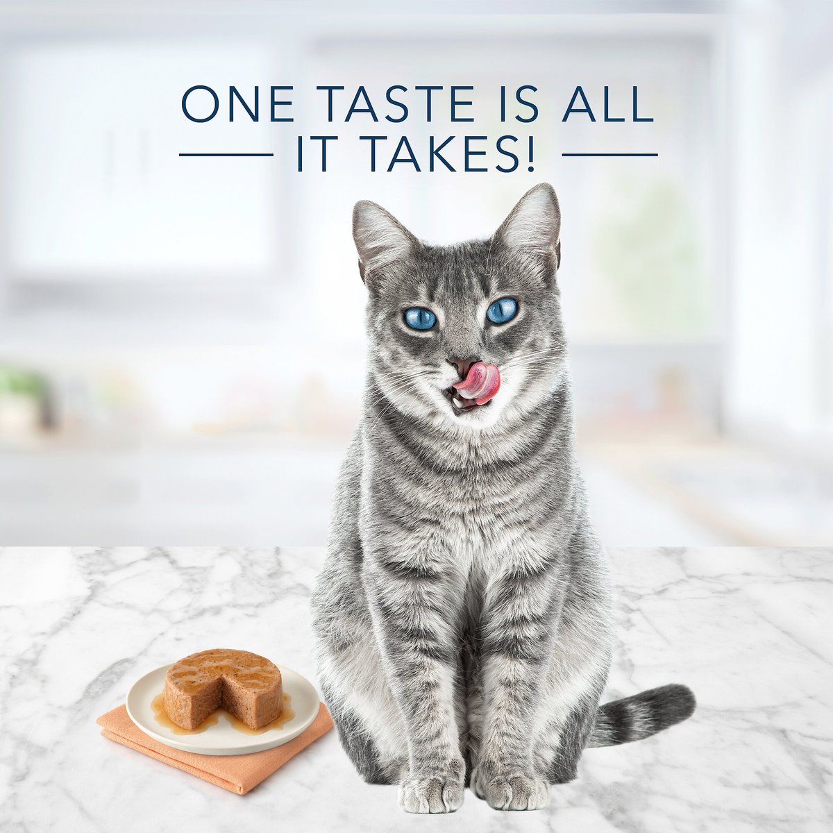 Blue Buffalo Tastefuls Salmon Entrée Pate Wet Cat Food