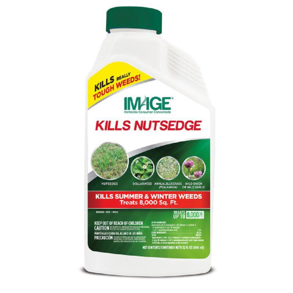 IMAGE 24 oz. Nutsedge Killer Concentrate 100099405