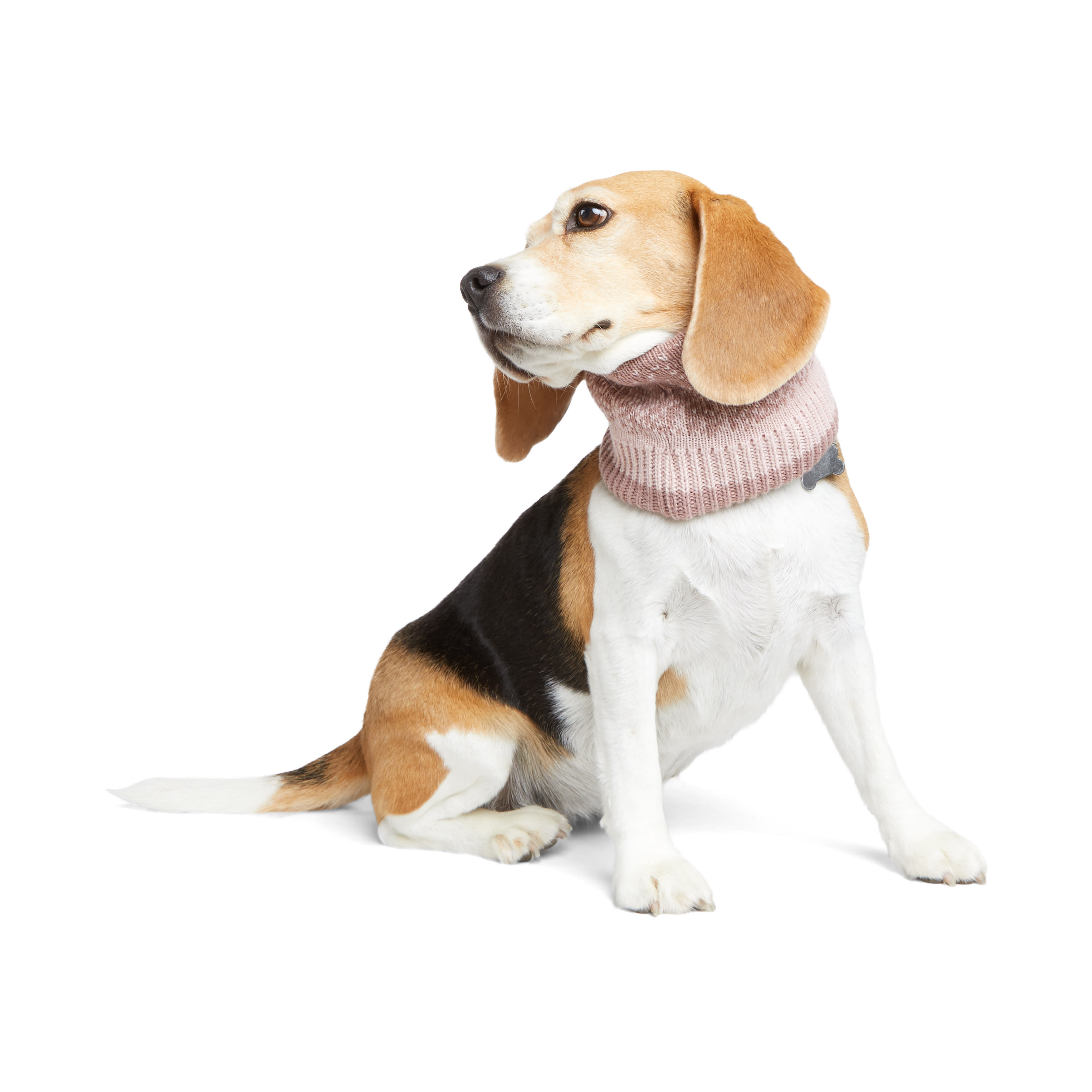 Reddy Pink Scarf for Dogs， X-Small/Small