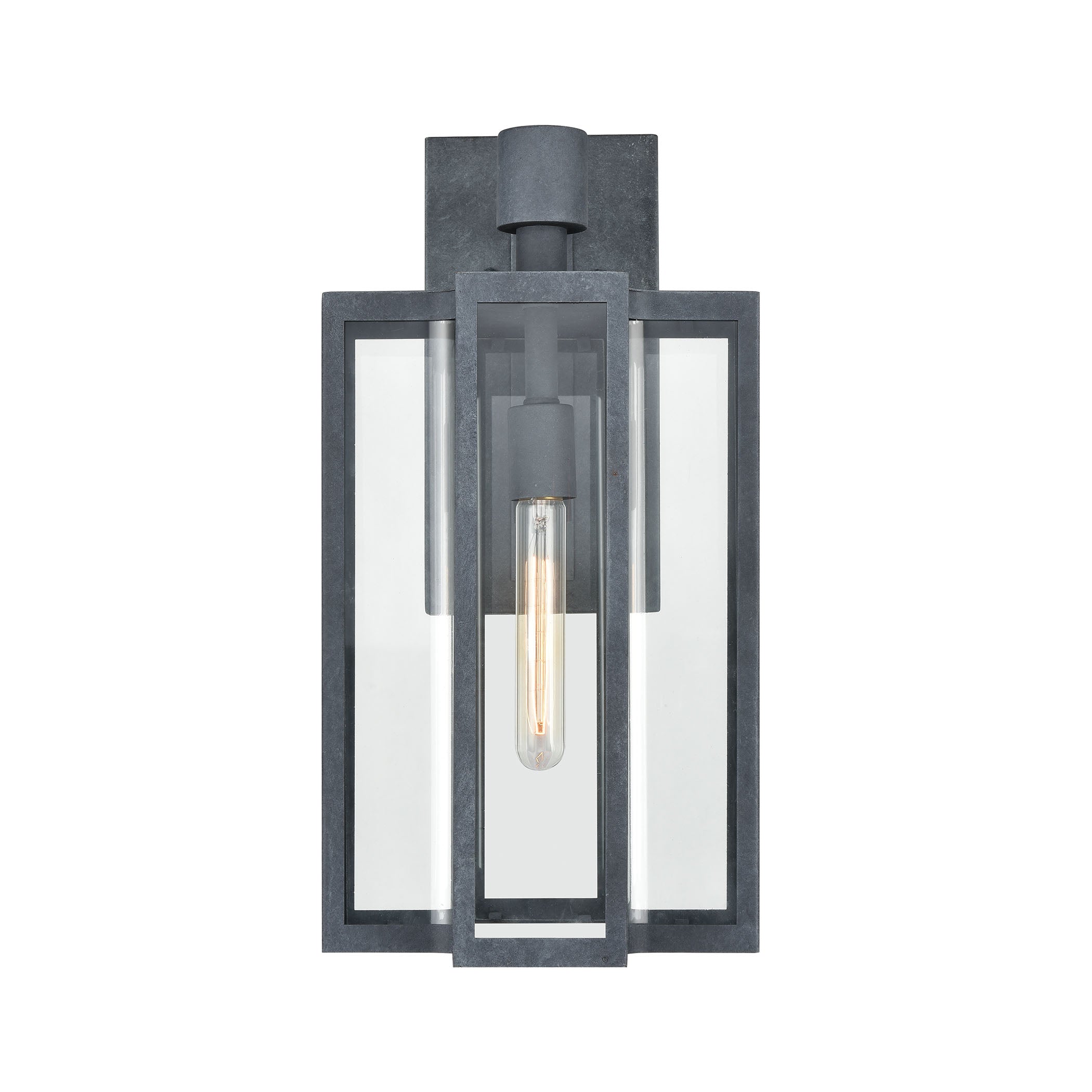 Bianca 1-Light 20 x 12 x 10 Sconce in Aged Zinc with Clear