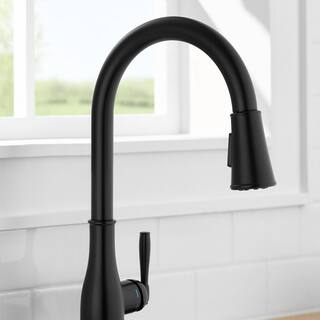 Glacier Bay Halwin Single-Handle Pull-Down Sprayer Kitchen Faucet in Matte Black HD67726W-2010H